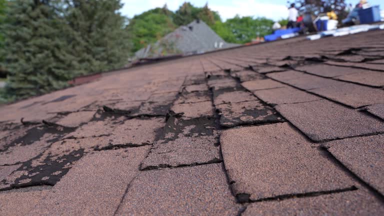 Best Emergency Roof Repair Services  in Levittown, NY